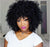 Wig Female African Wig Headgear Explosion Head